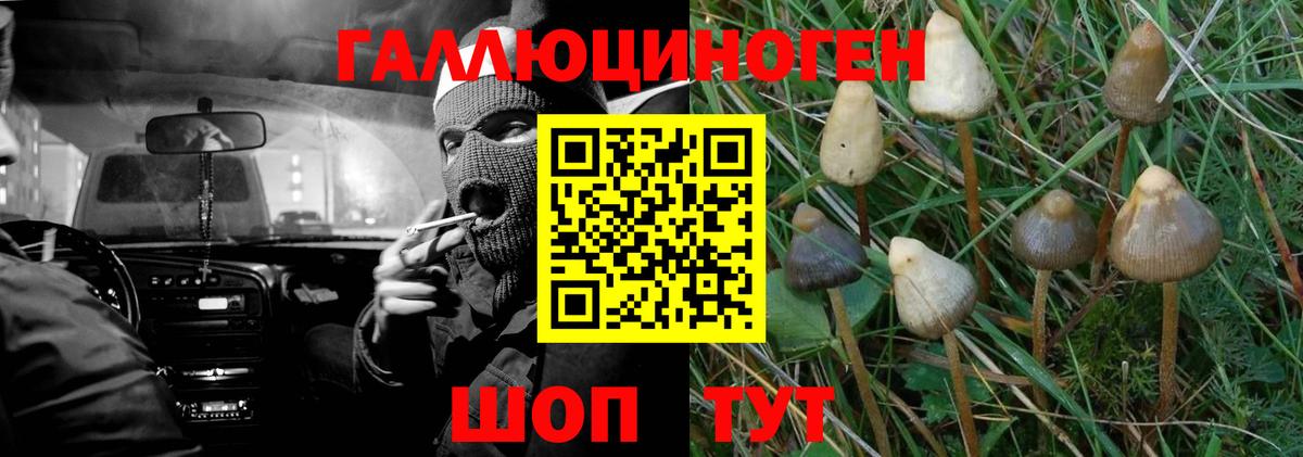 Псилоцибиновые грибы прущие грибы Черкесск
