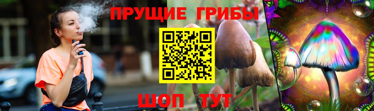 Черкесск  Псилоцибиновые грибы мухоморы  Вход с VPN  Псилоцибиновые грибы ЛСД 