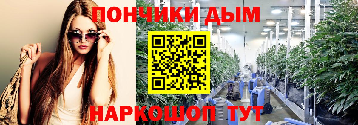 Каннабис конопля  Бошки Шишки THC 21%  Черкесск  Вход с VPN  Бошки Шишки конопля  Канабис VHQ 